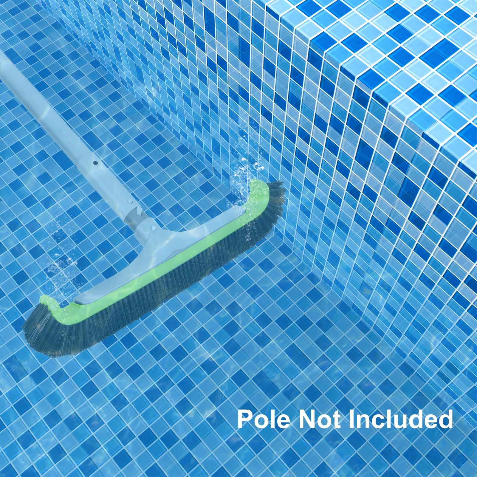 Sepetrel effective algae removal with sturdy bristles and design