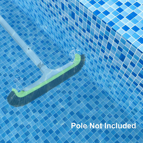 Sepetrel effective algae removal with sturdy bristles and design