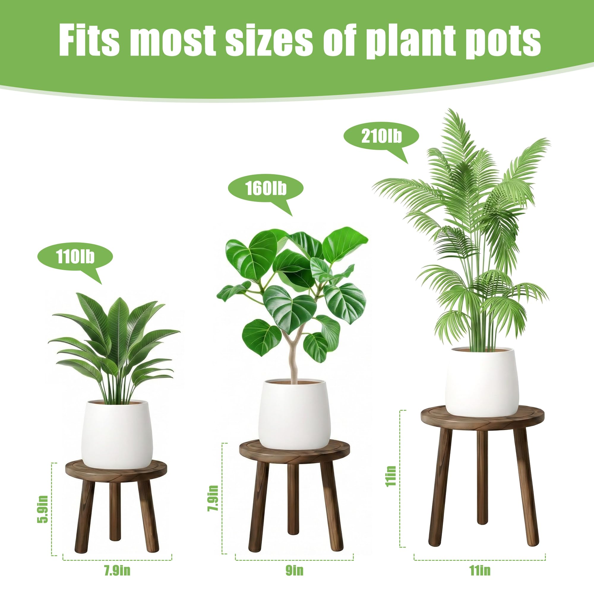 SEQUEDA wood plant stand 7.9-inch height highlights mid-sized plants on a compact footprint.