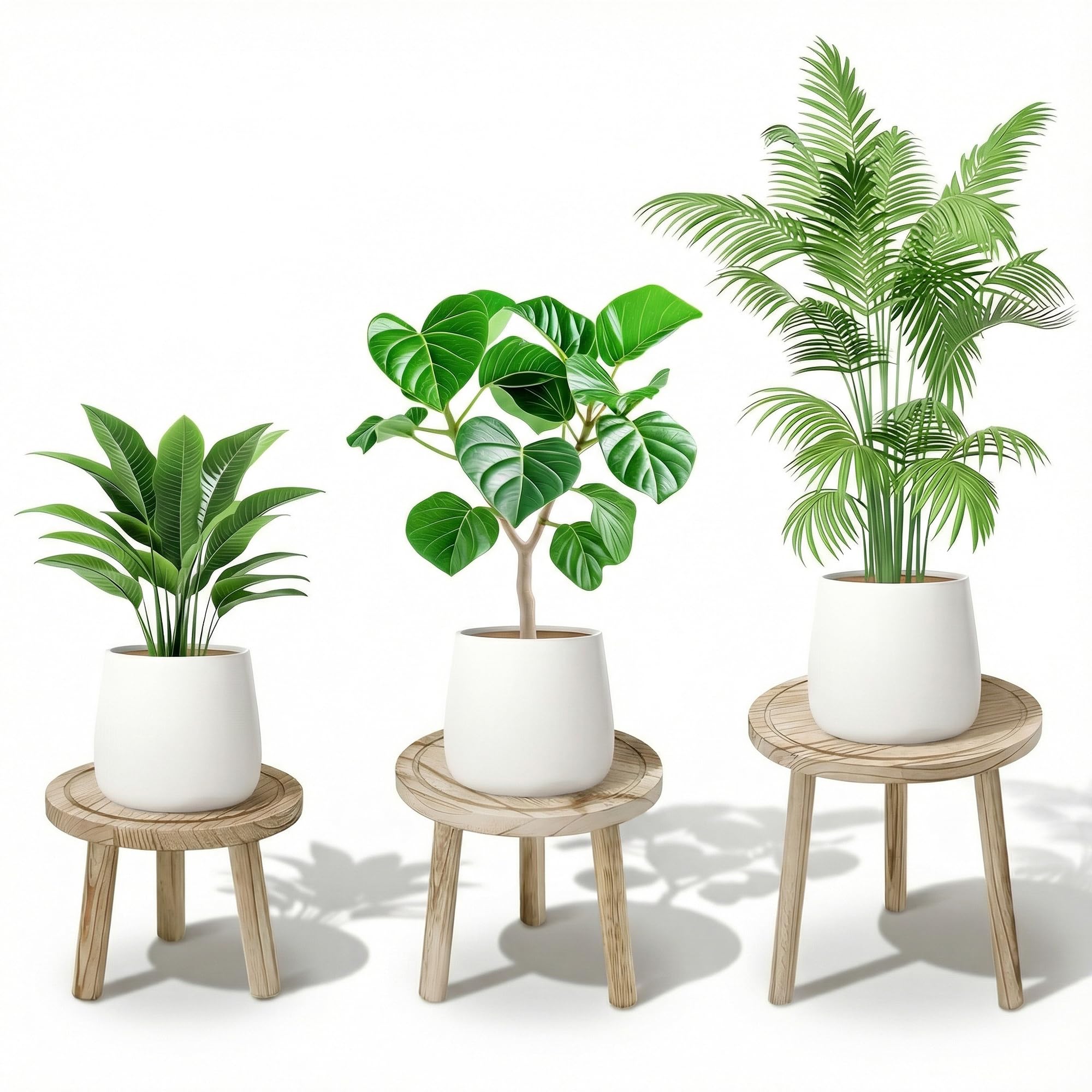 SEQUEDA 3-pack wood plant stands with graduated heights for dramatic indoor display.