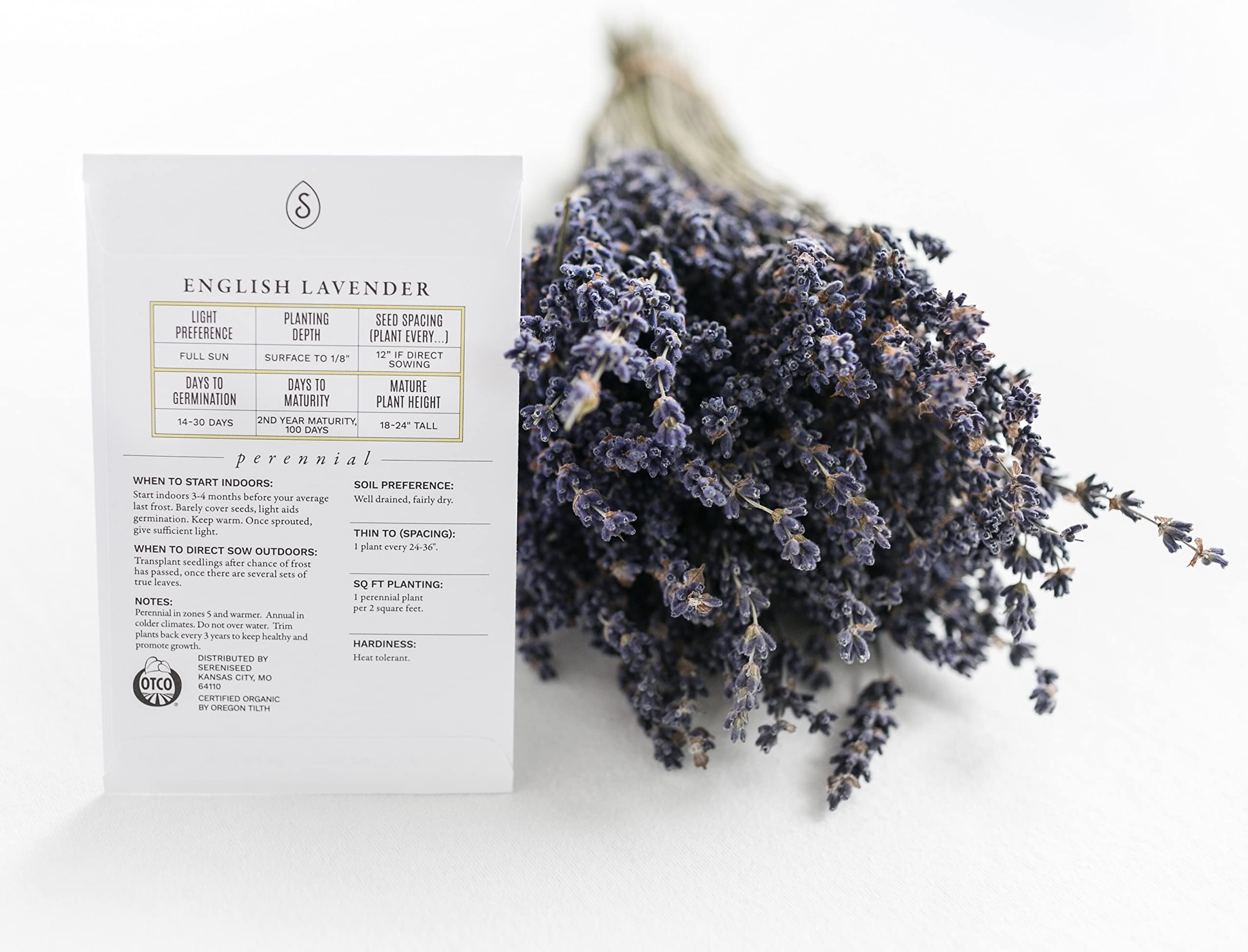 Sereniseed Cilantro seeds pack closeup supports quick germination for salsa and fresh herbs.