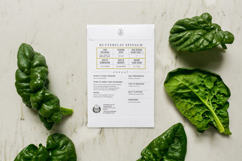 Sereniseed Green Towers romaine seeds for sturdy harvests