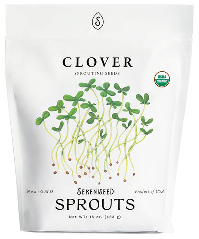 Sereniseed organic clover sprout seeds 16oz bag yield quick, nutrient-dense microgreens.