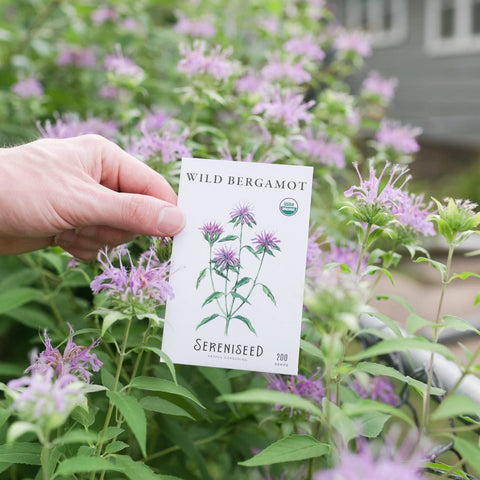 Sereniseed organic herb seeds label highlights non-GMO, open-pollinated varieties