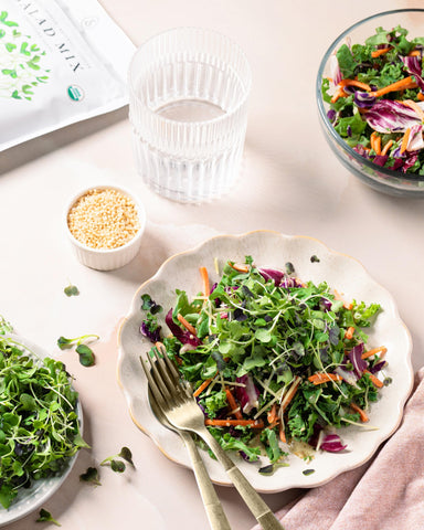 Sereniseed Organic Salad Mix sprout seeds with clover for crunchy microgreens at home.