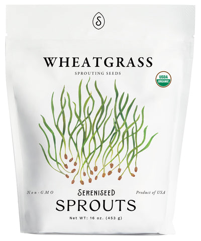 Sereniseed organic wheatgrass seeds in a bag for home sprouting and fresh greens.