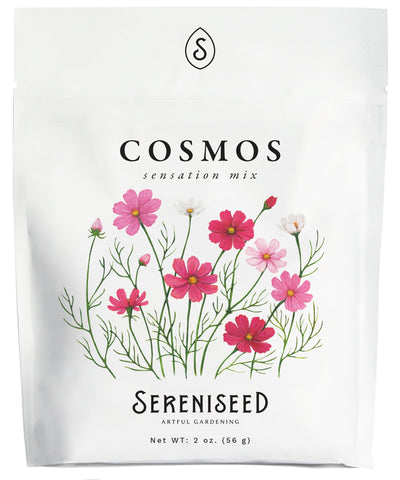 Sereniseed Sensation Mix Cosmos seeds ready for planting and vibrant garden blooms.