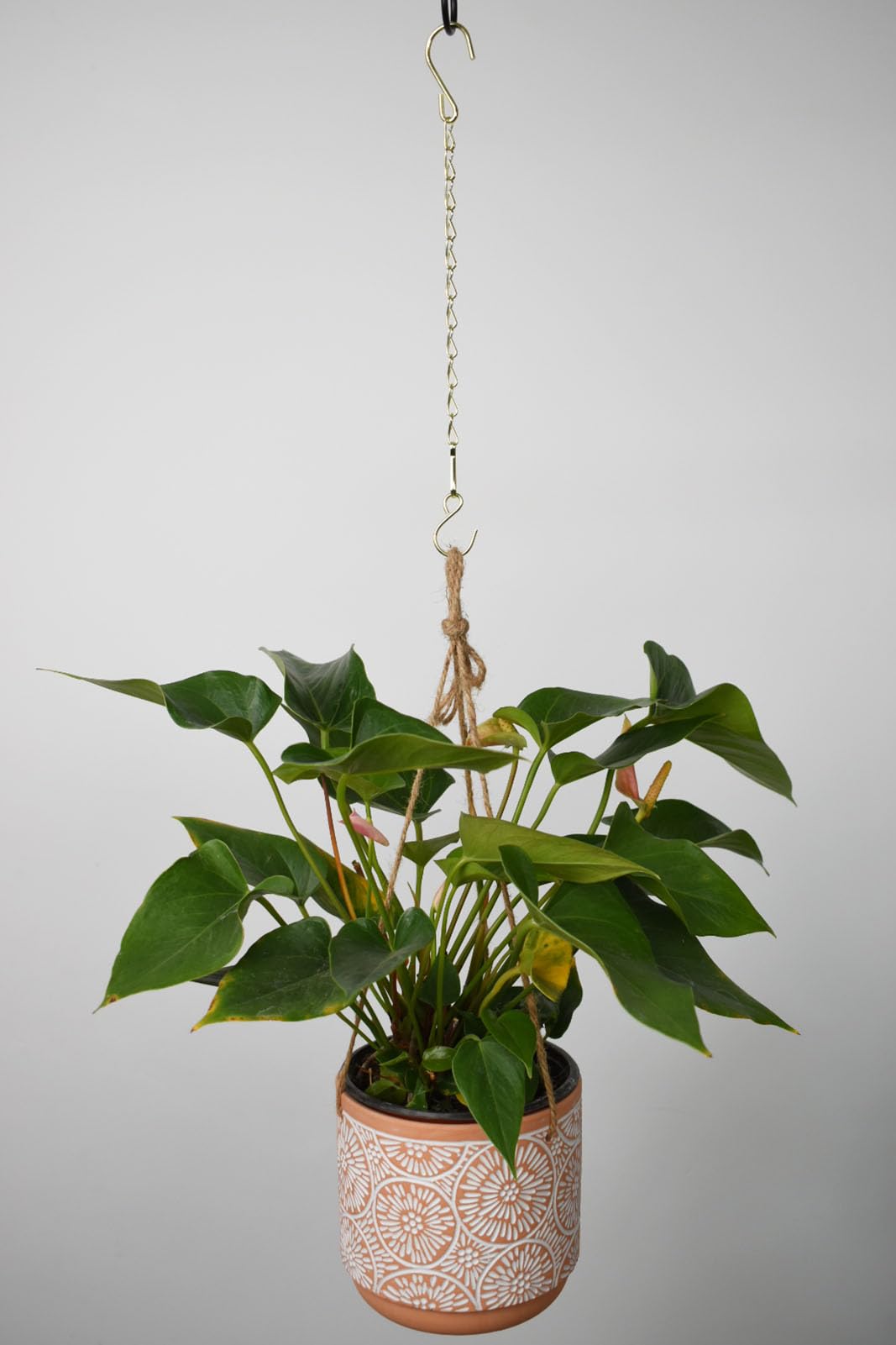 Sersberg plant hanger assembly highlights adjustable length for ideal height