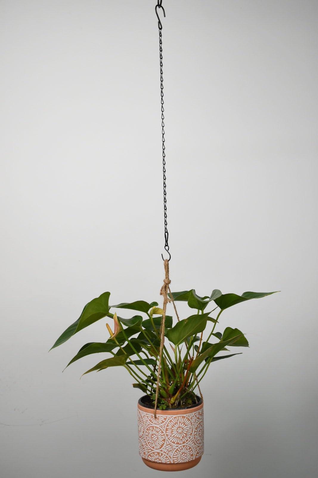 Sersberg hanging chain supports up to 12 pounds.