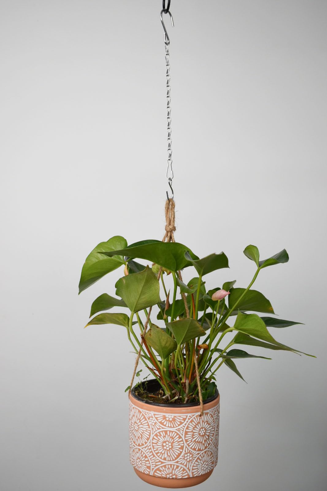 Sersberg plant-hanger accessories help create living space.