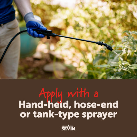 Sevin Concentrate on leaf pests up-close demonstrates targeted treatment