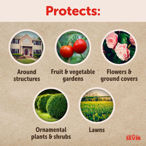 Sevin Concentrate spray nozzle action illustrates even coverage on plants