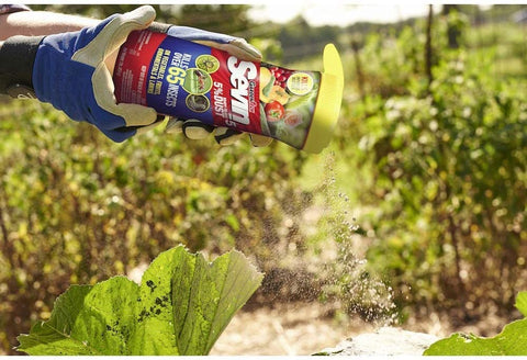 Sevin dust on leaves showing pests being controlled