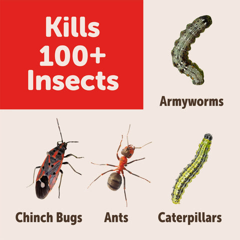 Sevin Garden Perimeter Insect Granules 3lb protects blossoms and vegetables from pests.