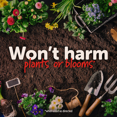 Sevin Garden Perimeter Insect Granules 3lb treats ornamental plants and shrubs against pests.