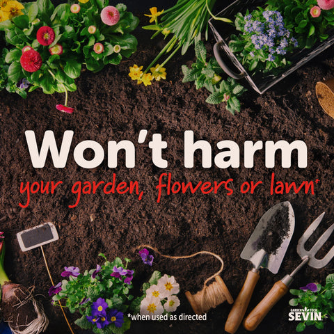 Sevin Insect Killer Dust on stems for even coverage