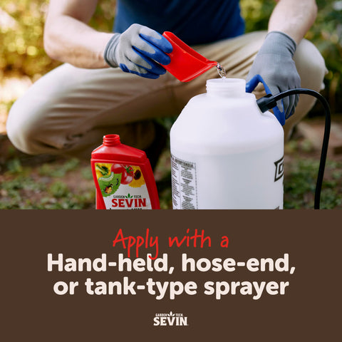 Harvest-ready vegetables after Sevin spray, following label directions