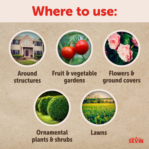 Fruit and vegetable garden protected by Sevin Ready To Spray