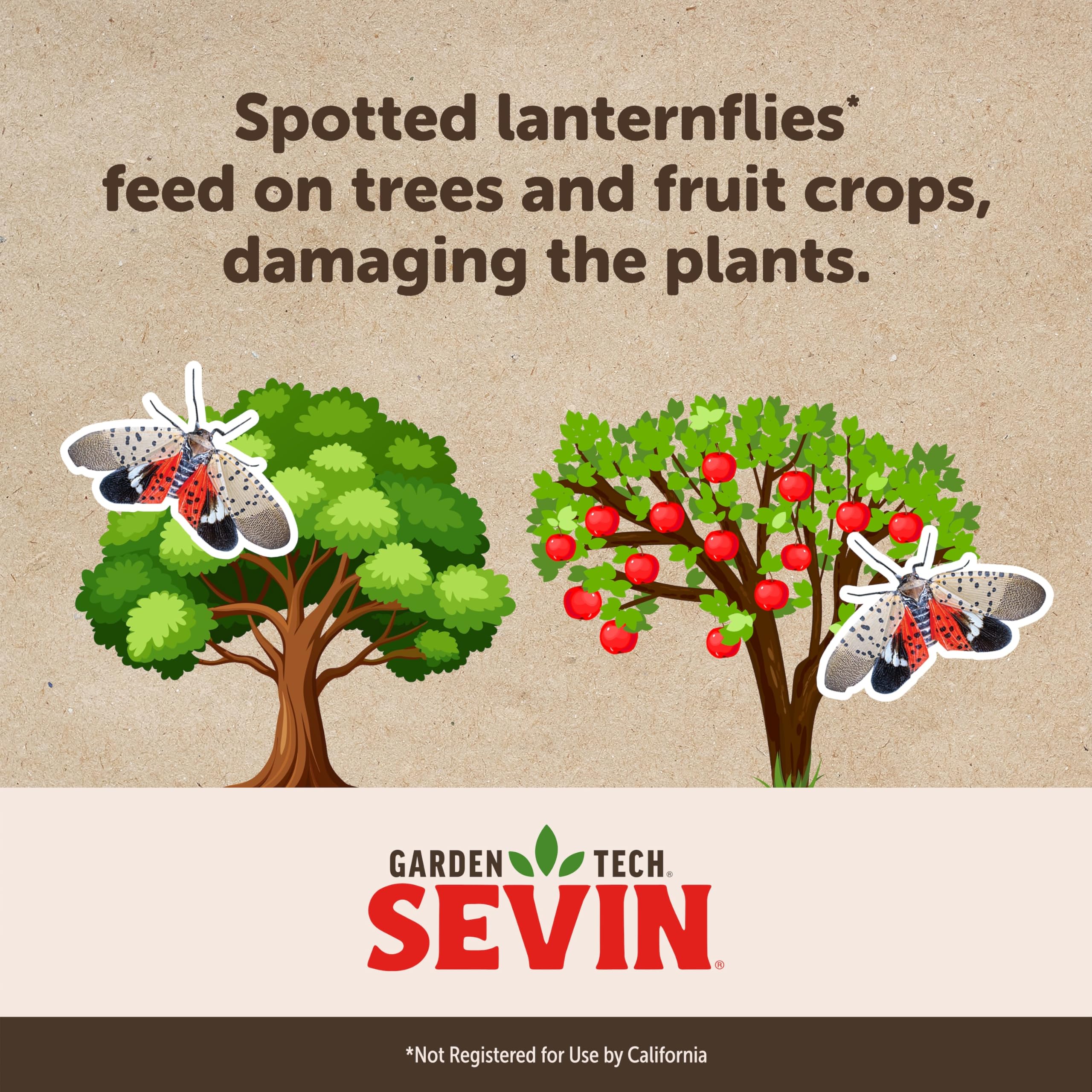 Close-up of Sevin Ready To Spray label for garden use