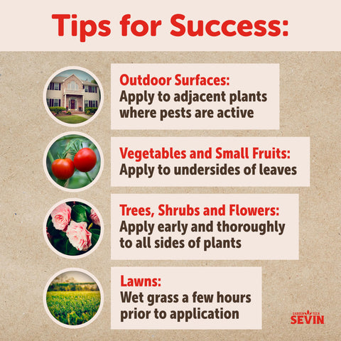 Lawn and shrub protection with Sevin Ready To Spray