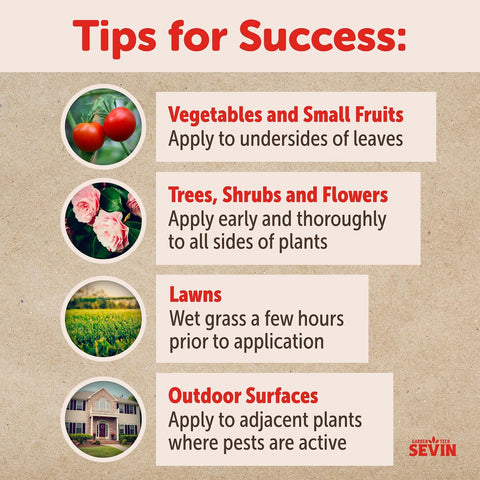 Sevin targets Japanese beetles on foliage for clean, pest-free plants.