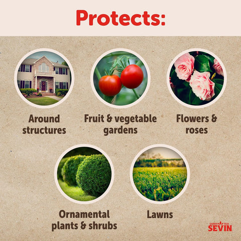 Sevin protects edibles and ornamentals without harming plants or blooms.