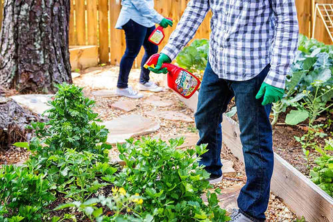 Sevin Ready-to-Use Insect Killer around home perimeter reduces outdoor insect nuisances.
