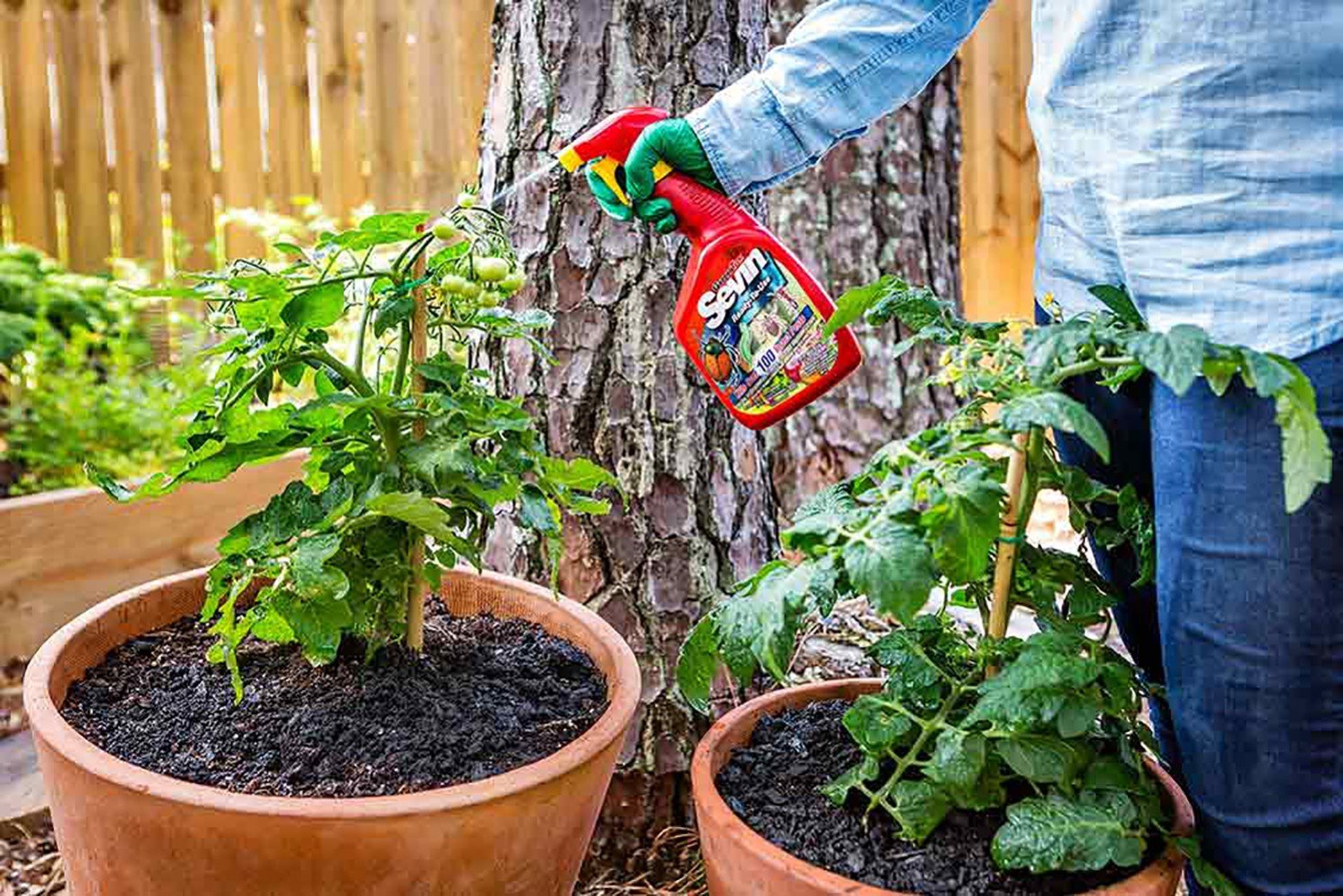 Sevin Ready-to-Use Insect Killer spray application on garden for quick pest control.
