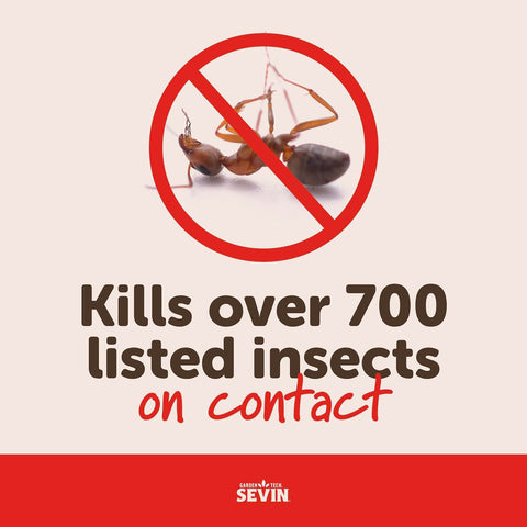 Sevin controls whiteflies on greens to protect photosynthesis and growth.