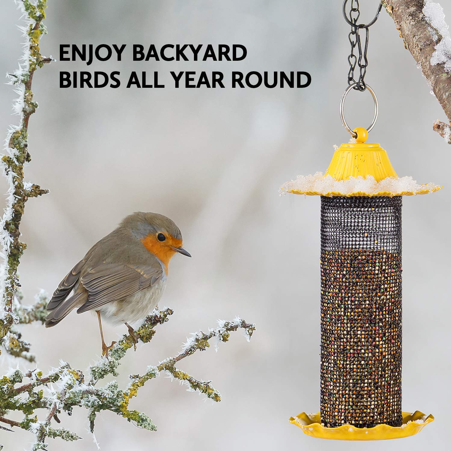 SEWANTA Finch Bird Feeder features drainage holes to keep seeds dry