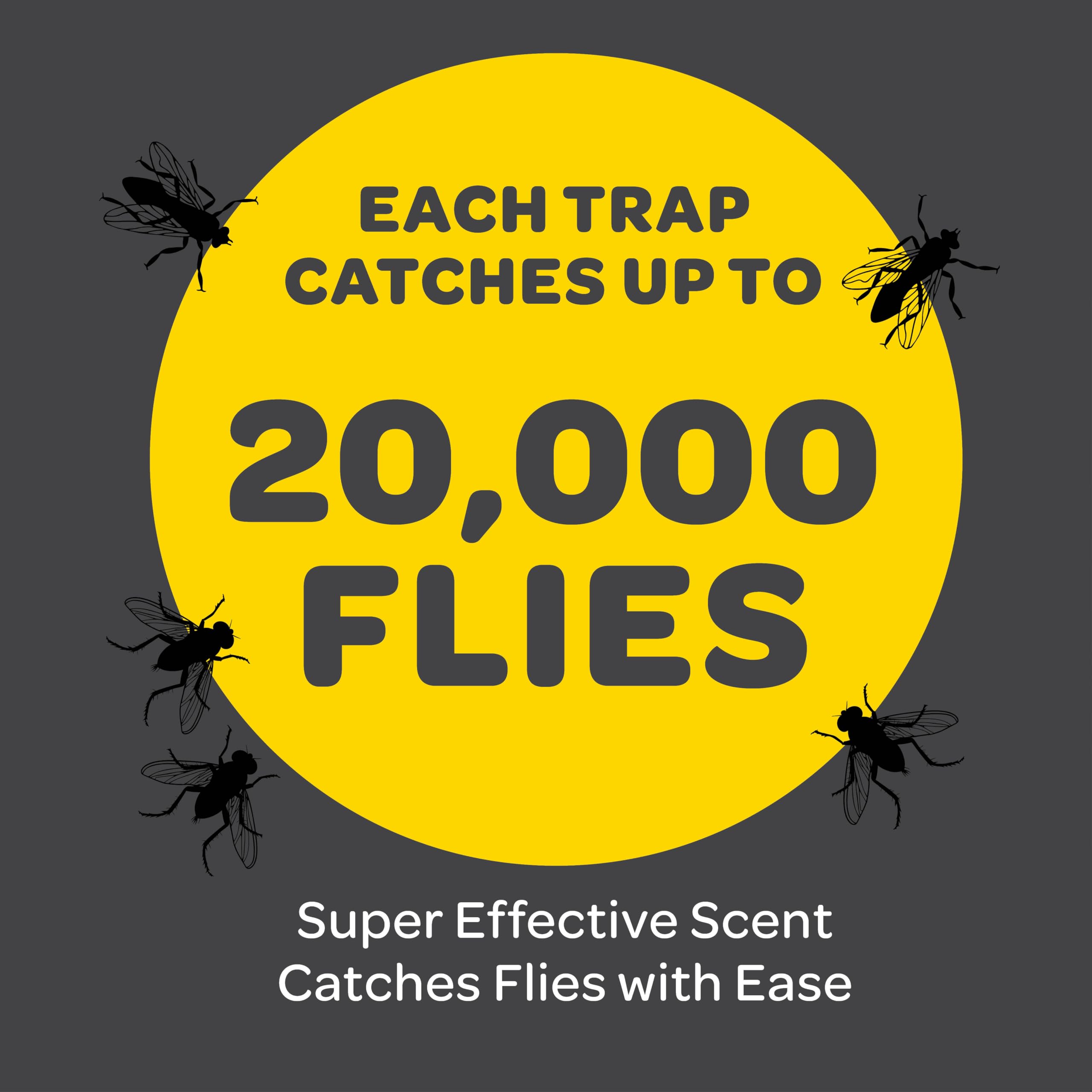 SEWANTA fly trap water refill demonstrates easy maintenance in warm weather.