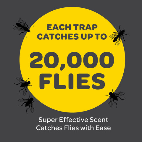 SEWANTA fly trap water refill demonstrates easy maintenance in warm weather.