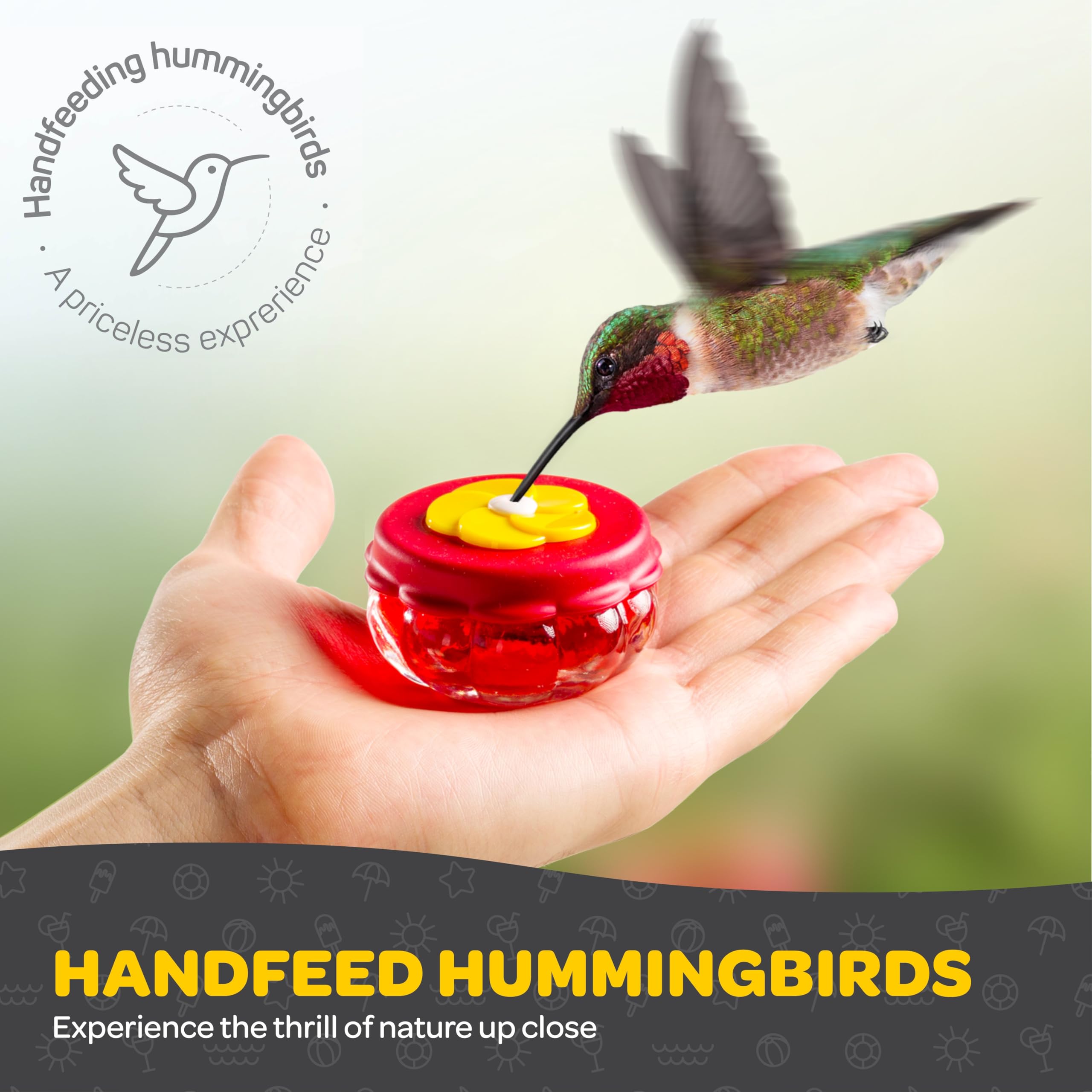 SEWANTA table-top hummingbird feeder visible on outdoor surface.