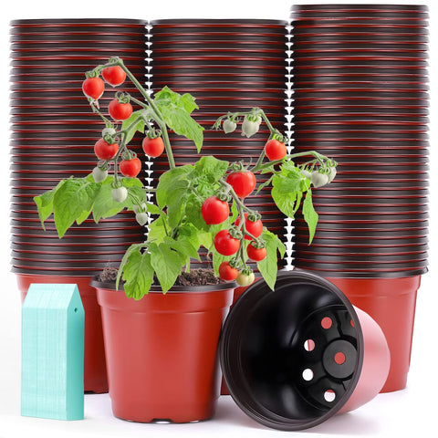 Sfee 4-inch nursery pot showing drainage holes for healthy root growth.