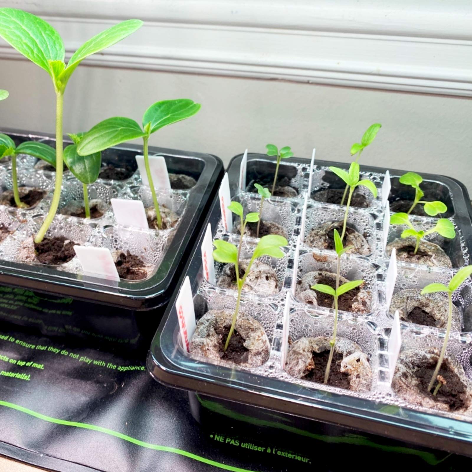 Sfee compact stackable garden trays save space on windowsills