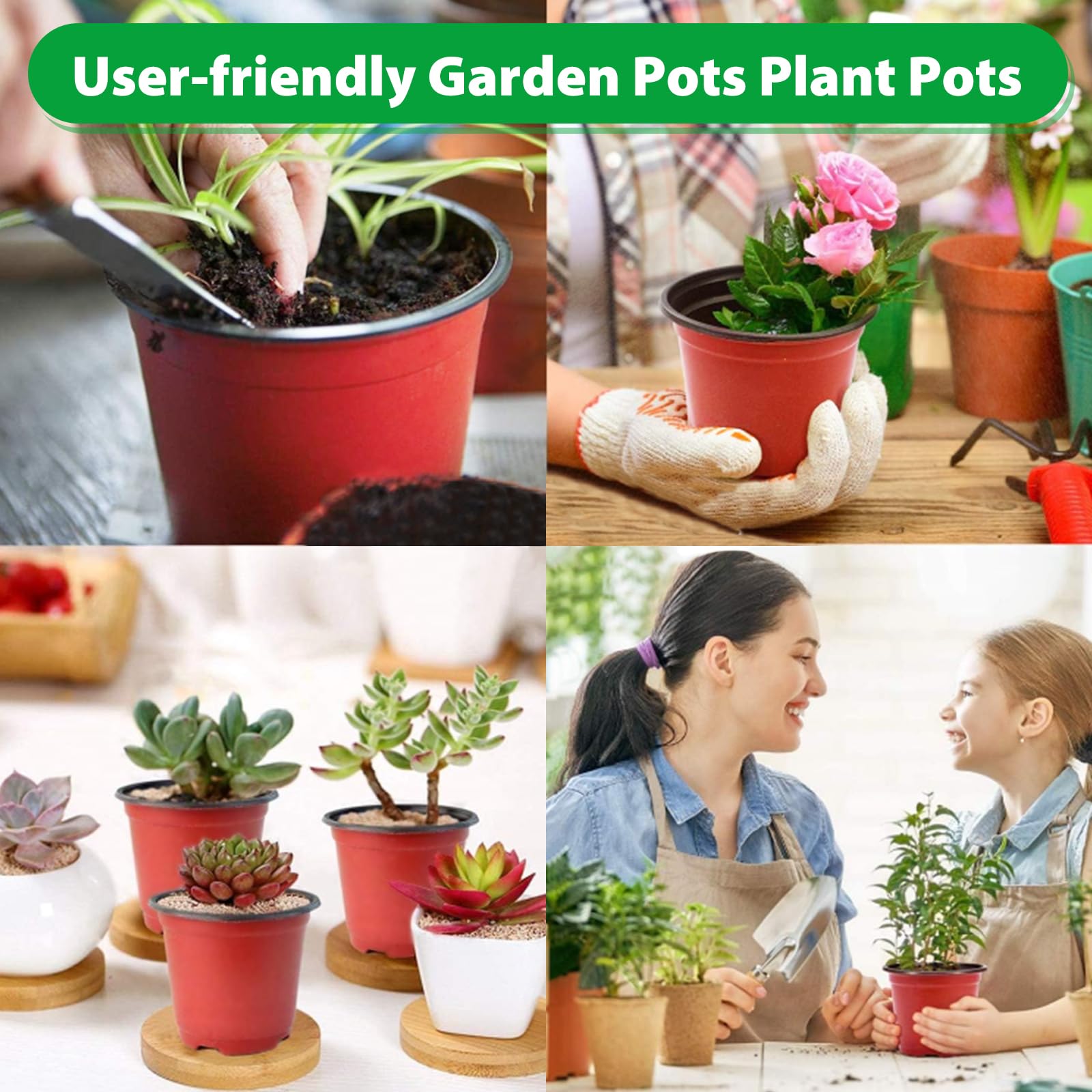 Sfee pots on a home garden shelf offering decorative, natural touches.