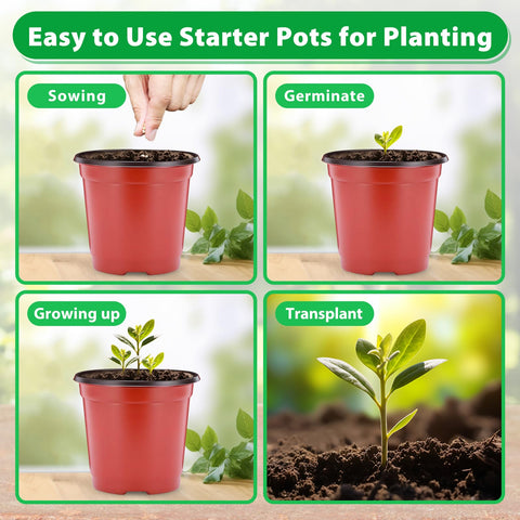Sfee nursery pot with transplanting setup ready for garden beds.