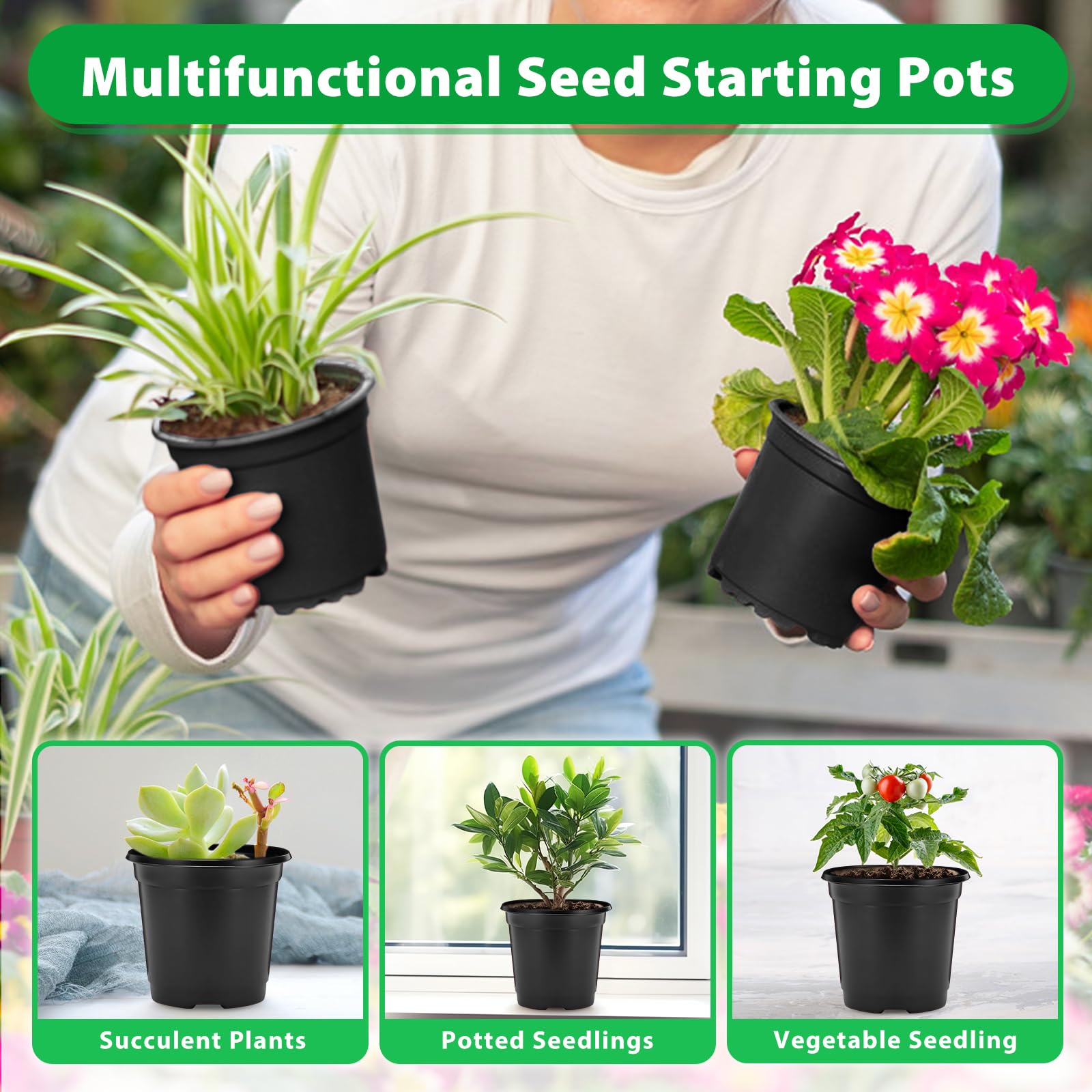 Sfee plant-labels included for organized seedling tracking
