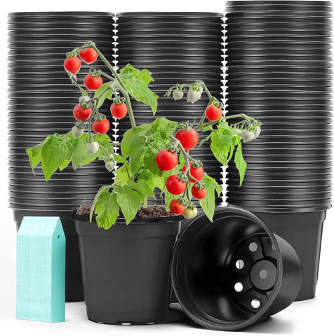 Sfee 4-inch black nursery pot ready for seedling growth