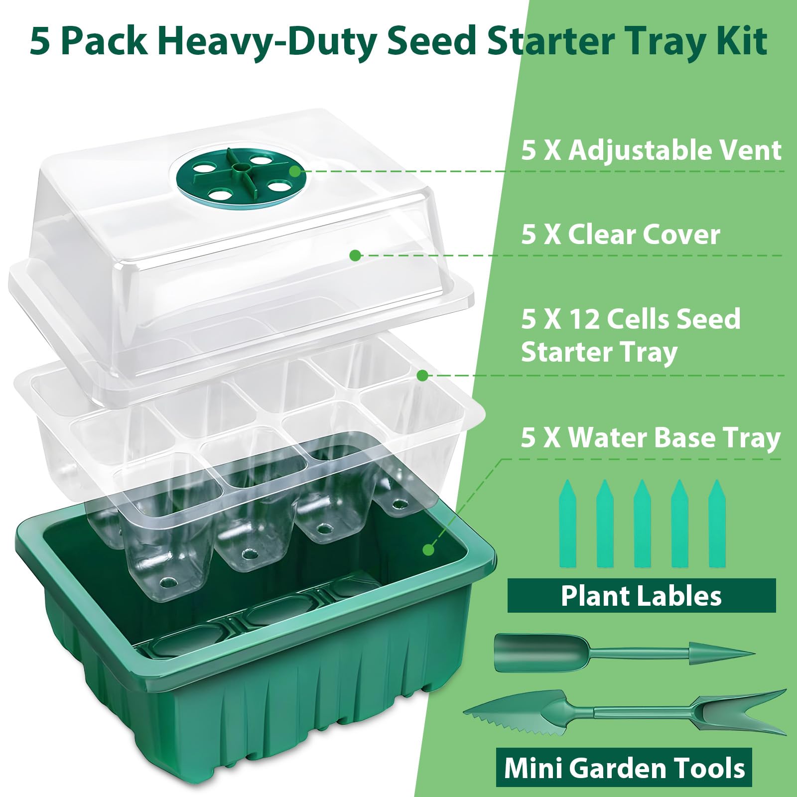 Close-up of Sfee 60-cell grid showing ample root space for healthy seedlings.