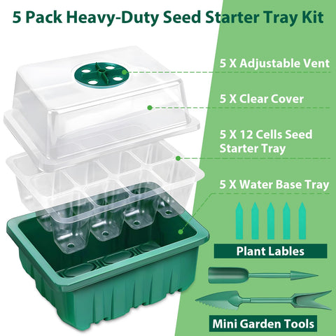 Close-up of Sfee 60-cell grid showing ample root space for healthy seedlings.