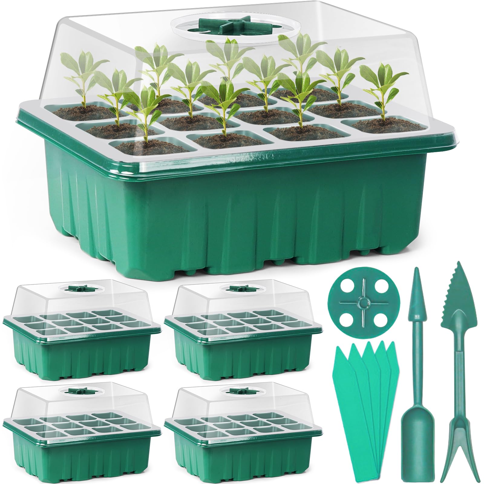 Sfee seed starter tray with 60 cells and dome, ideal for efficient seed germination.
