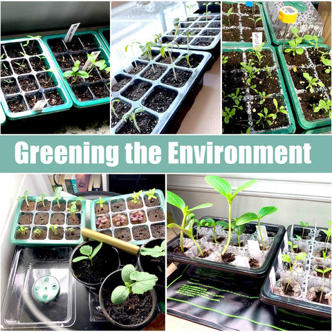 Sfee seed starter tray stacked setup, convenient for compact windowsill gardening.