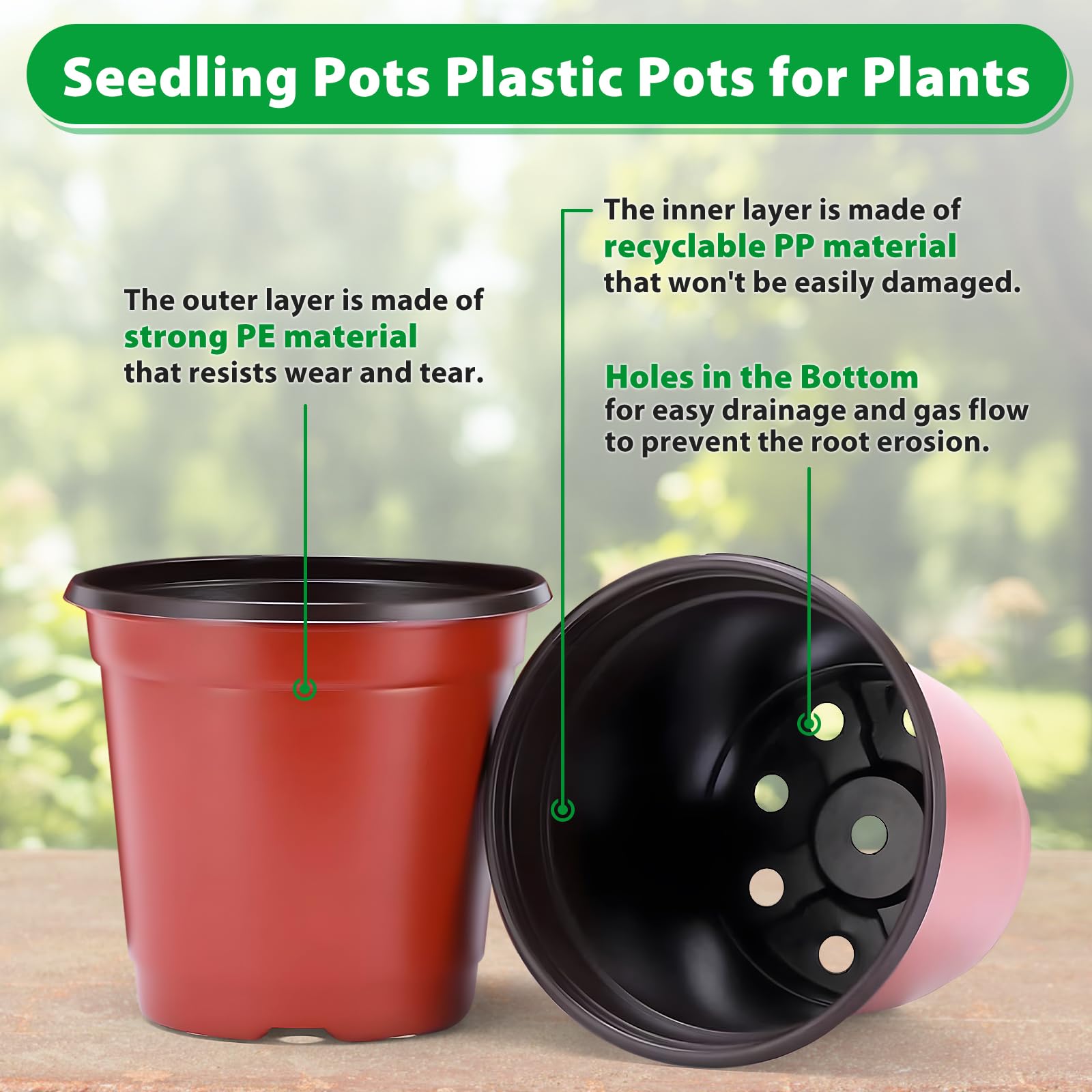 Sfee succulent propagation pot designed for easy transplanting and growth.