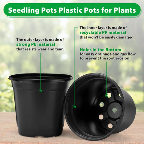 Sfee succulent propagation pot ideal for cuttings