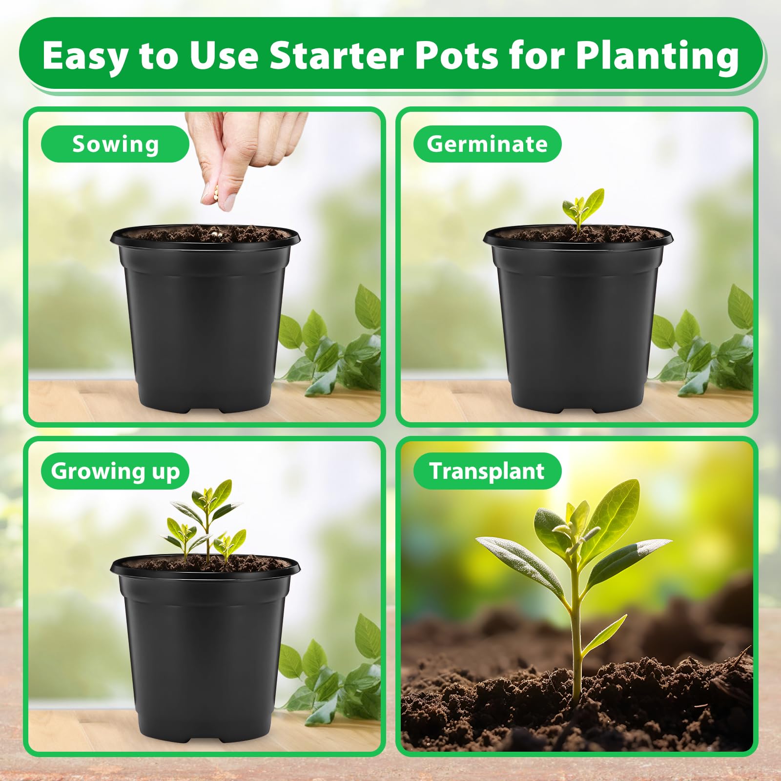 Sfee transplanting pot used for seedlings in garden