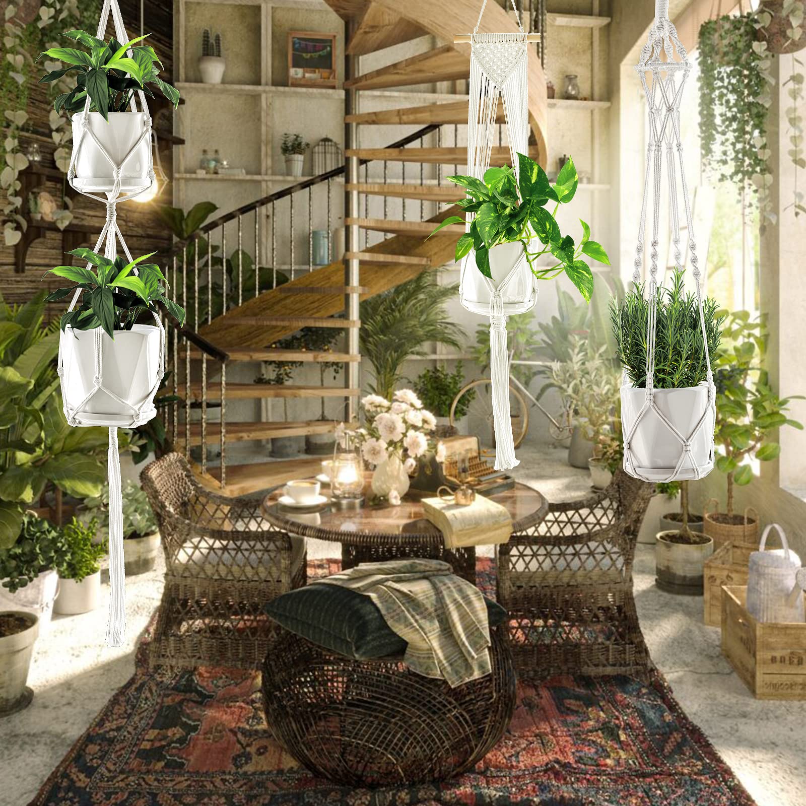 SFENNGPET indoor room display showcasing boho plant decor