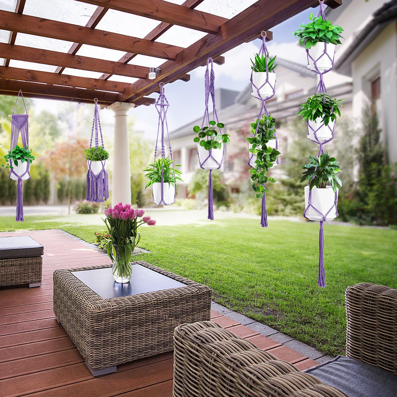 SFENNGPET six-pack macrame plant hangers keep pots organized on a Boho wall.