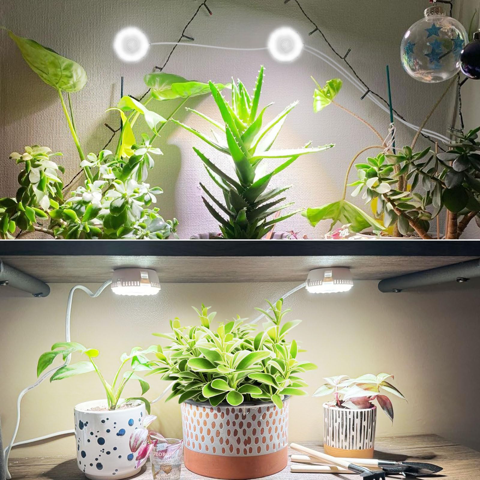 SGLEDs four-level dimming lets you adjust brightness to plant needs