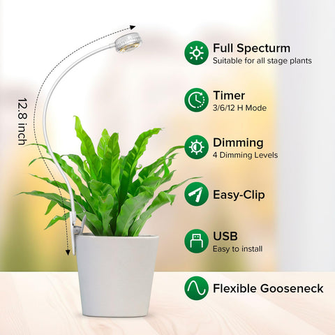 SGLEDs 4000K full-spectrum light supports indoor plant growth.